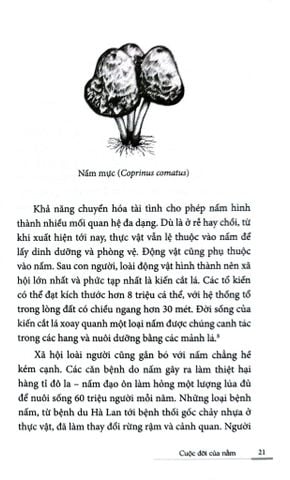  Cuộc Đời Của Nấm - Entangled Life - Merlin Sheldrake 