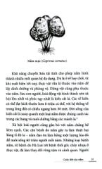 Cuộc Đời Của Nấm - Entangled Life - Merlin Sheldrake