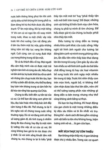  Combo Cơ Thể Tự Chữa Lành (Bộ 5 Cuốn) - Anthony William 