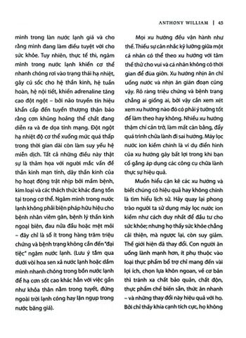  Cơ Thể Tự Chữa Lành - T8: Phác Đồ Thanh Lọc & Công Thức Giải Cứu Não - Anthony William 