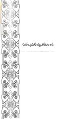 Rumi Tinh Tuyệt - Bìa Cứng - Coleman Barks