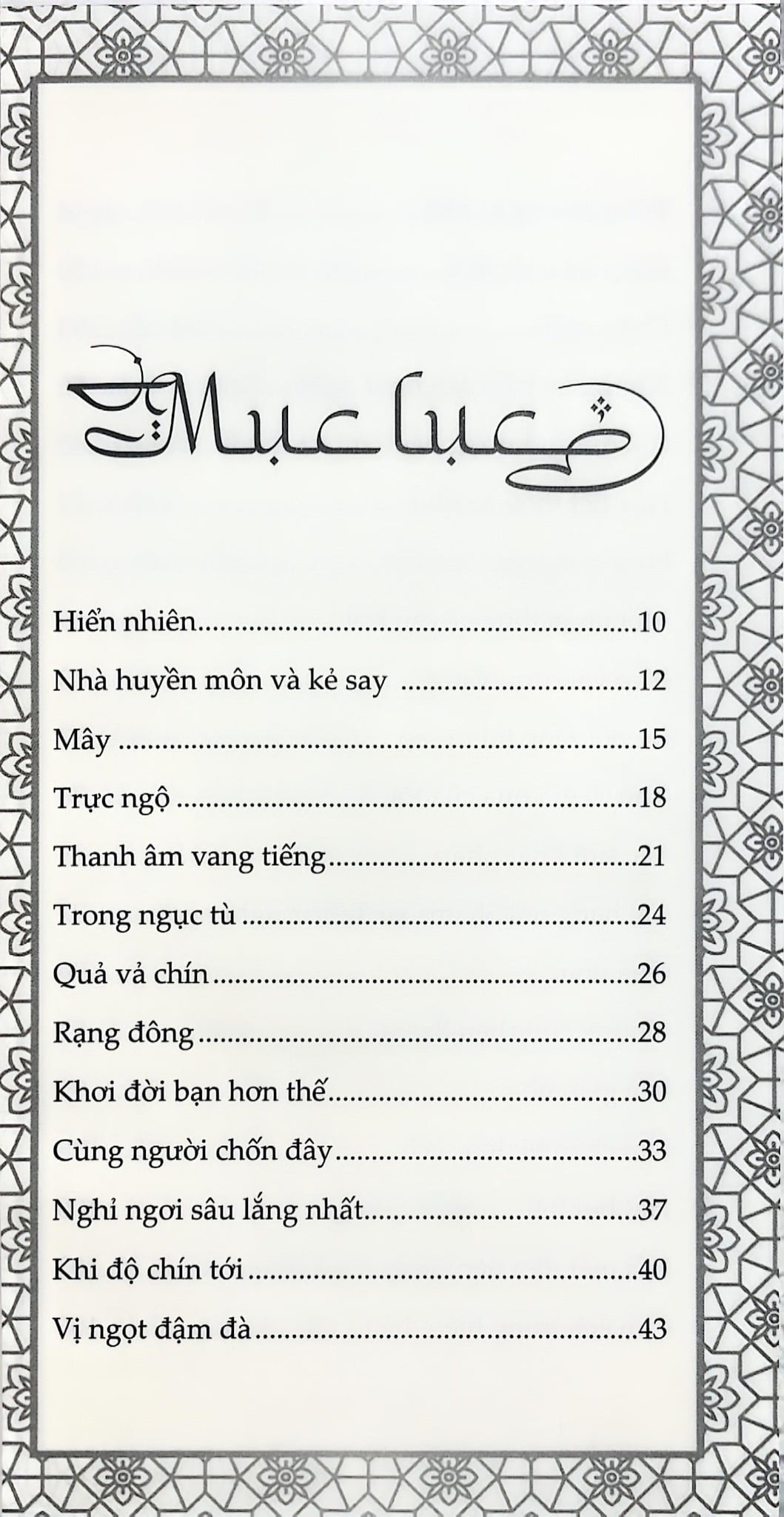 Rumi Nhà Huyền Môn Và Kẻ Say - Coleman Barks