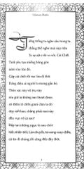 Combo 2 Quyển Rumi Tinh Tuyệt + Rumi Nhà Huyền Môn Và Kẻ Say - Coleman Barks