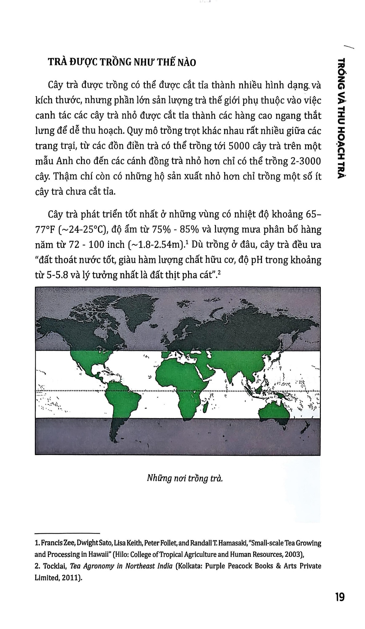 Khoa Học Của Nghệ Thuật Trà - Tony Gebely