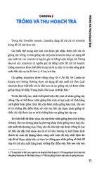 Khoa Học Của Nghệ Thuật Trà - Tony Gebely