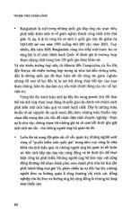 Thuận Theo Hoàn Cảnh - Không Có Một Chiến Lược Phát Triển Vạn Năng - Brian Levy