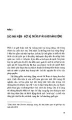 Thuận Theo Hoàn Cảnh - Không Có Một Chiến Lược Phát Triển Vạn Năng - Brian Levy