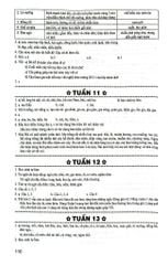 Vở Bài Tập Nâng Cao Từ Và Câu Lớp 3 (Dùng Chung Cho Các Bộ Sgk Hiện Hành) - Lê Phương Nga