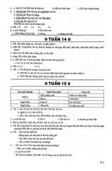 Vở Bài Tập Nâng Cao Từ Và Câu Lớp 3 (Dùng Chung Cho Các Bộ Sgk Hiện Hành) - Lê Phương Nga