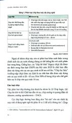 Chiến Trường Bán Dẫn - Phạm Sỹ Thành, Nguyễn Tuệ Anh