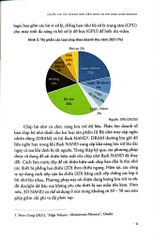 Chiến Trường Bán Dẫn - Phạm Sỹ Thành, Nguyễn Tuệ Anh