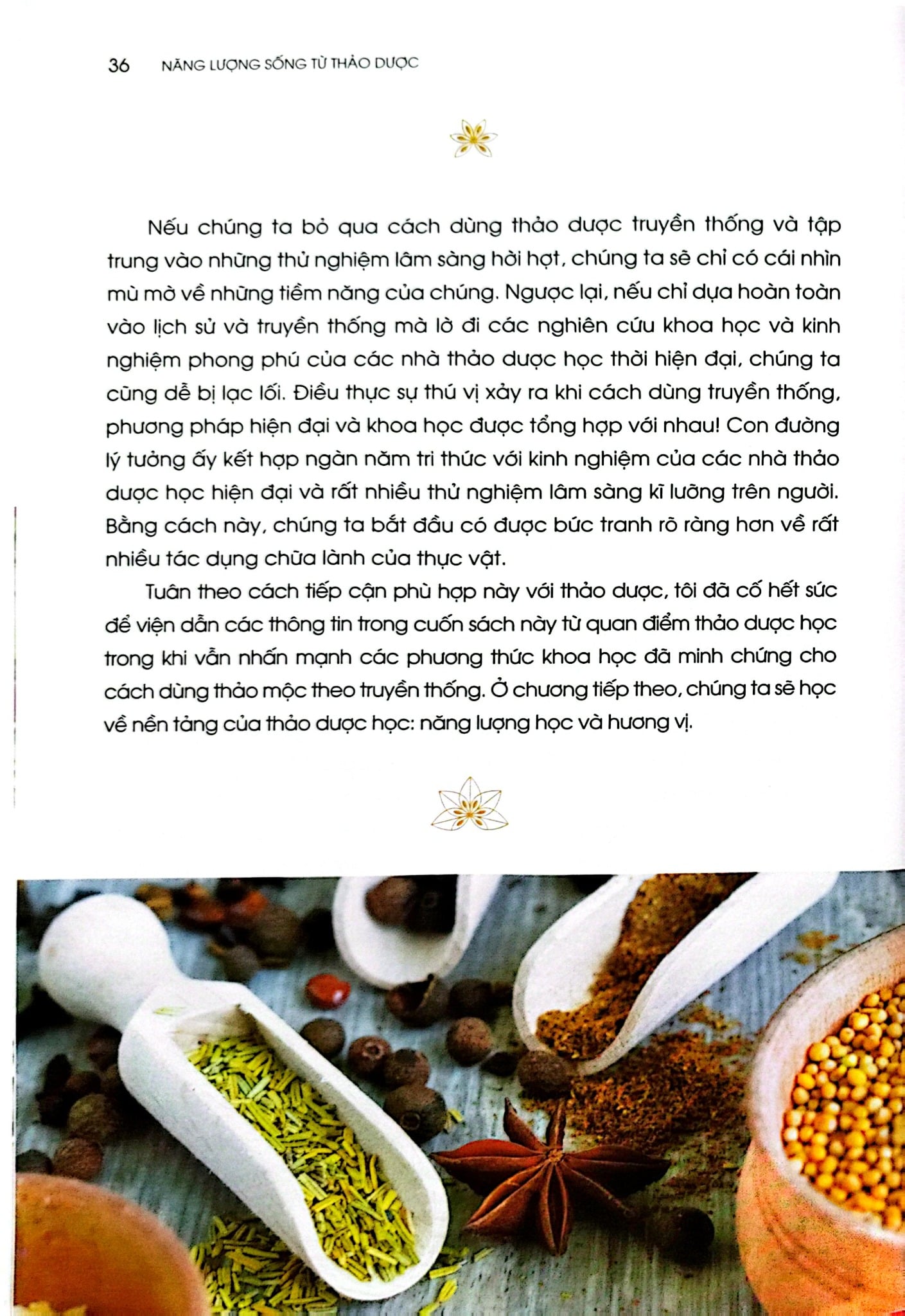 Năng Lượng Sống Từ Thảo Dược - Rosalee De La Forêt