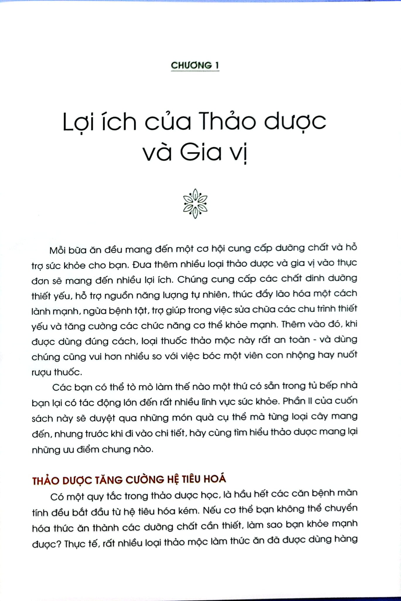 Năng Lượng Sống Từ Thảo Dược - Rosalee De La Forêt