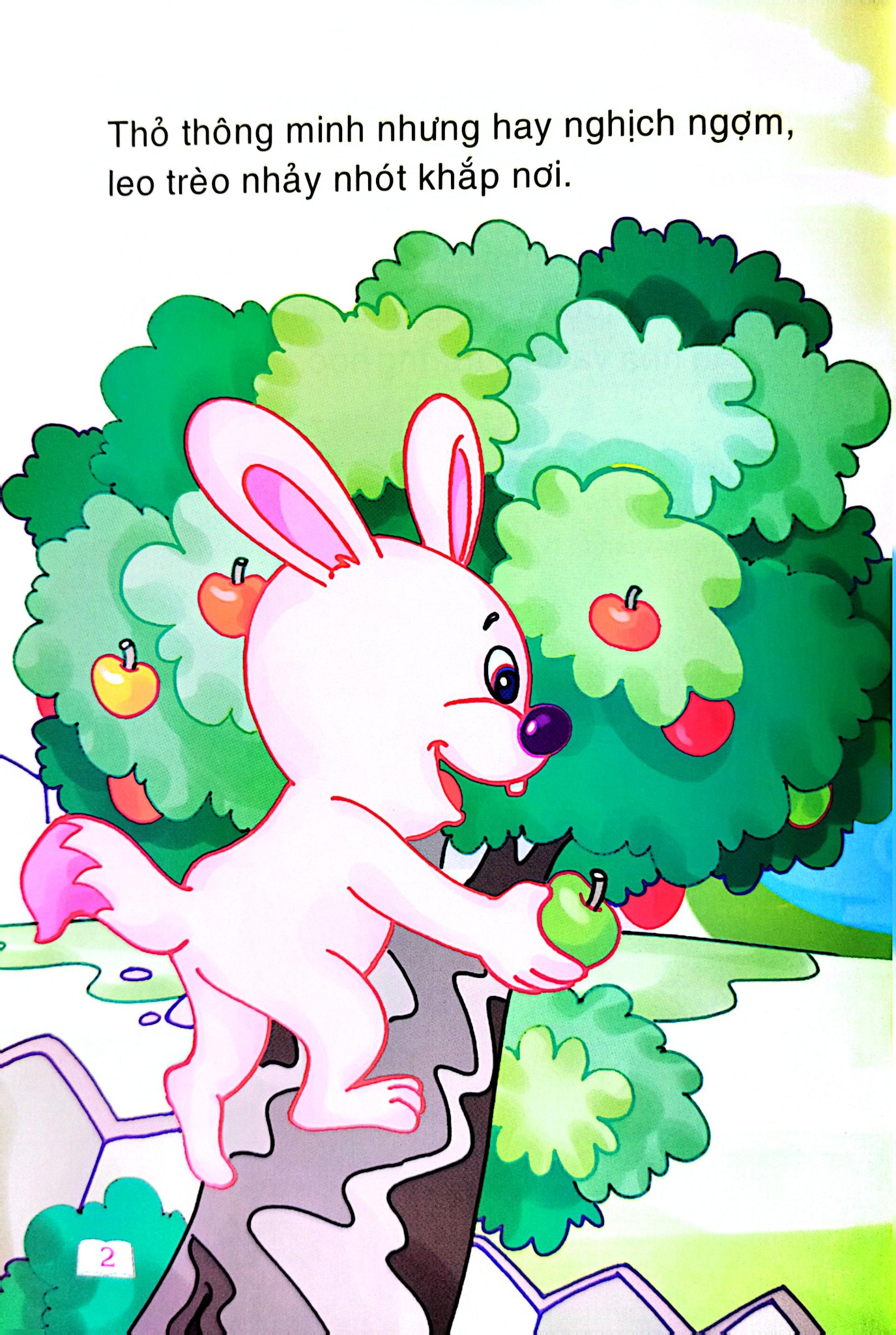 Cổ Tích Trăng Non - Vì Sao Thỏ Cụt Đuôi - Minh Anh, Ngọc Phương