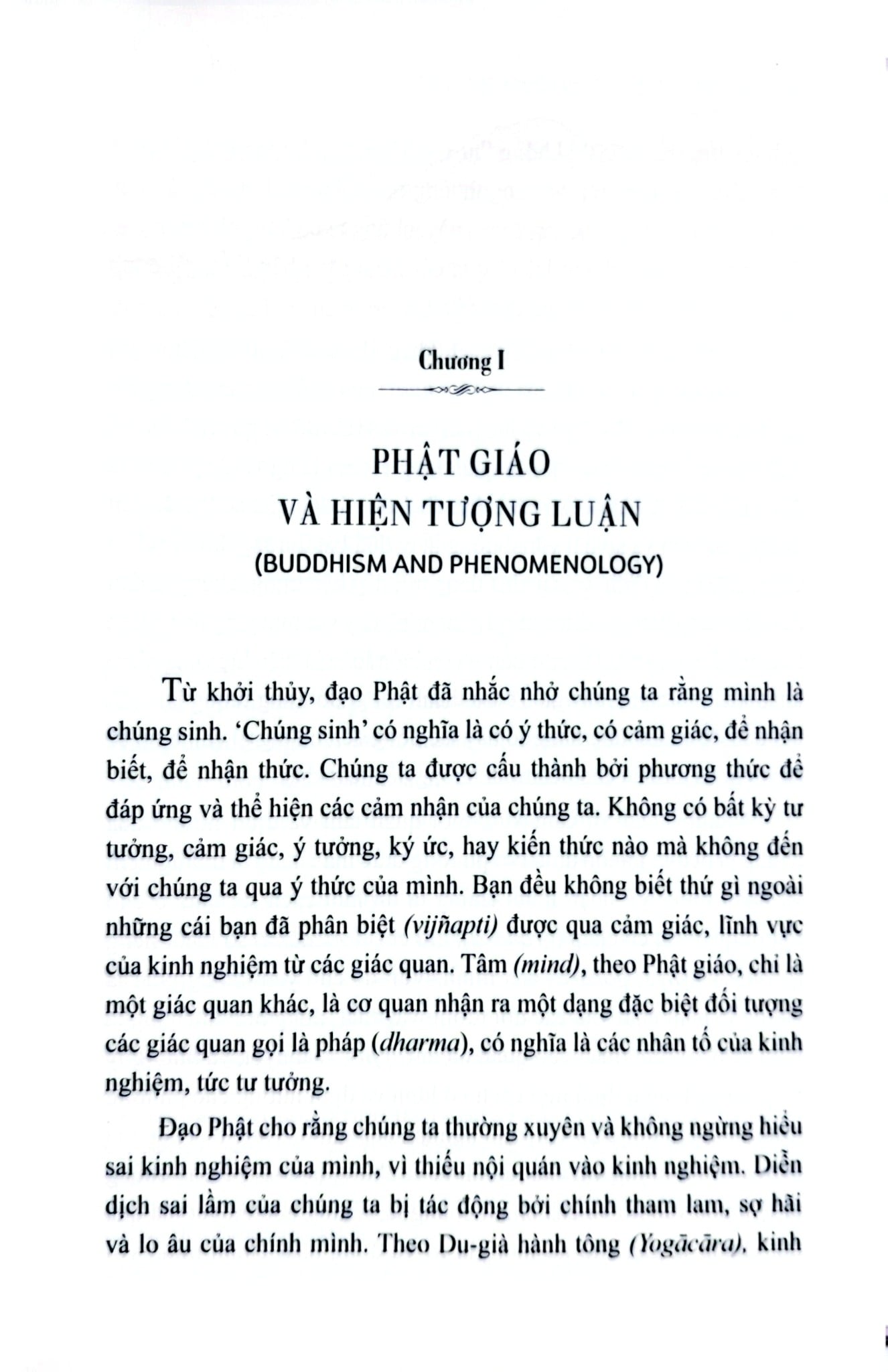 Hiện Tượng Luận Phật Giáo (Bộ 2 Quyển) Bìa Cứng - Dan Lusthaus