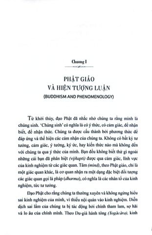  Hiện Tượng Luận Phật Giáo (Bộ 2 Quyển) Bìa Cứng - Dan Lusthaus 