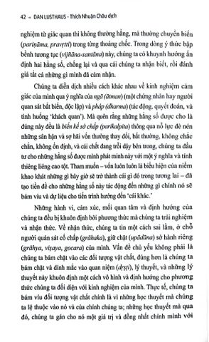  Hiện Tượng Luận Phật Giáo (Bộ 2 Quyển) Bìa Cứng - Dan Lusthaus 