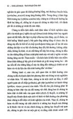 Hiện Tượng Luận Phật Giáo (Bộ 2 Quyển) Bìa Cứng - Dan Lusthaus
