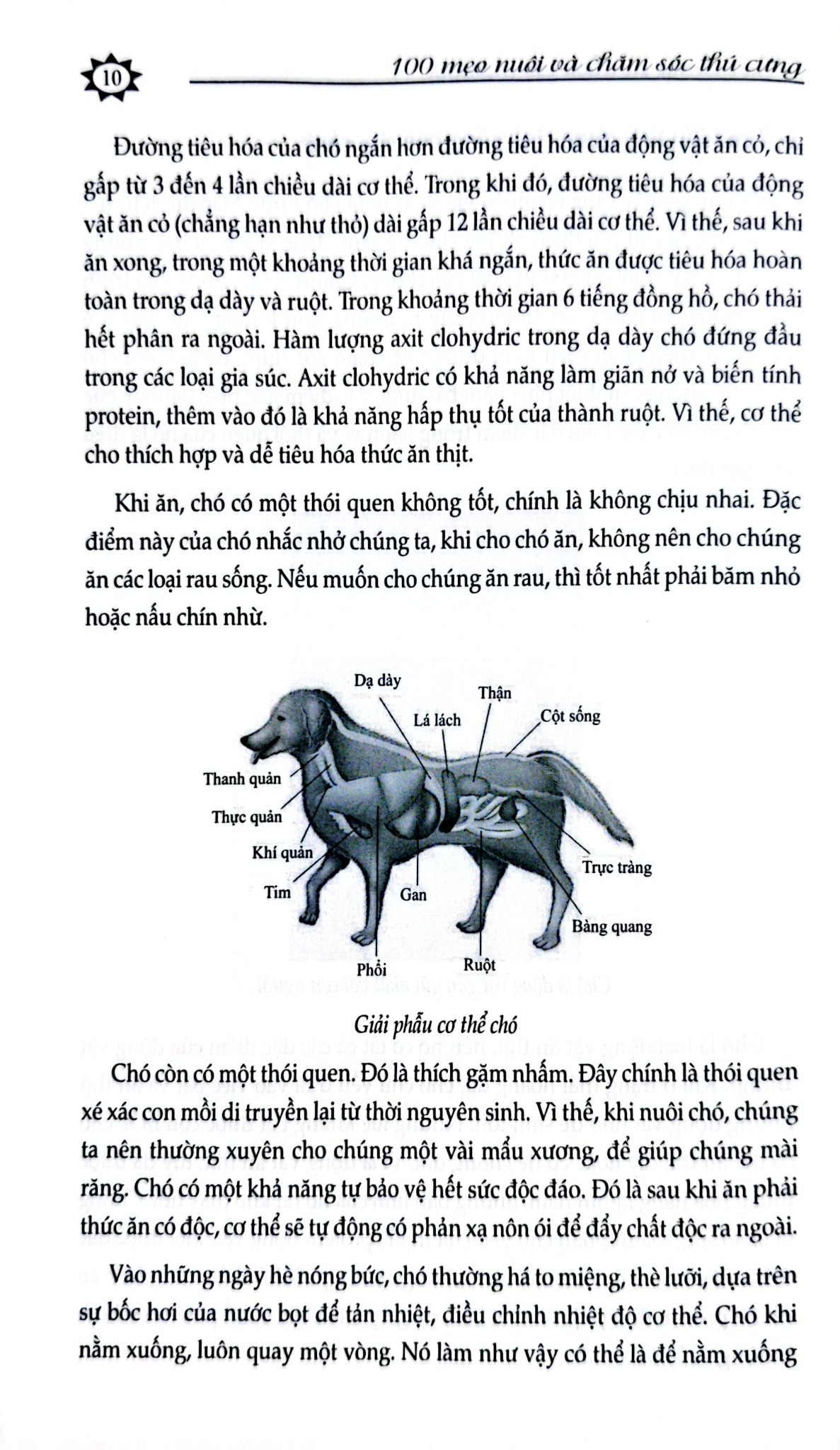 100 Mẹo Nuôi Và Chăm Sóc Thú Cưng - Chu Truyền Lâm