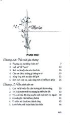 Tủ Sách Kỹ Năng - Học Cách Cảm Ơn - Nguyễn Hà Yến Mi - Lê Thanh Hải
