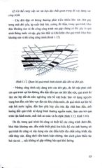Địa Chất Cấu Tạo - TS. Phạm Trung Hiếu, TS. Trần Mỹ Dung