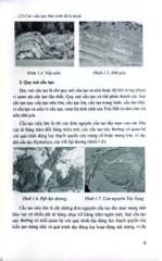 Địa Chất Cấu Tạo - TS. Phạm Trung Hiếu, TS. Trần Mỹ Dung