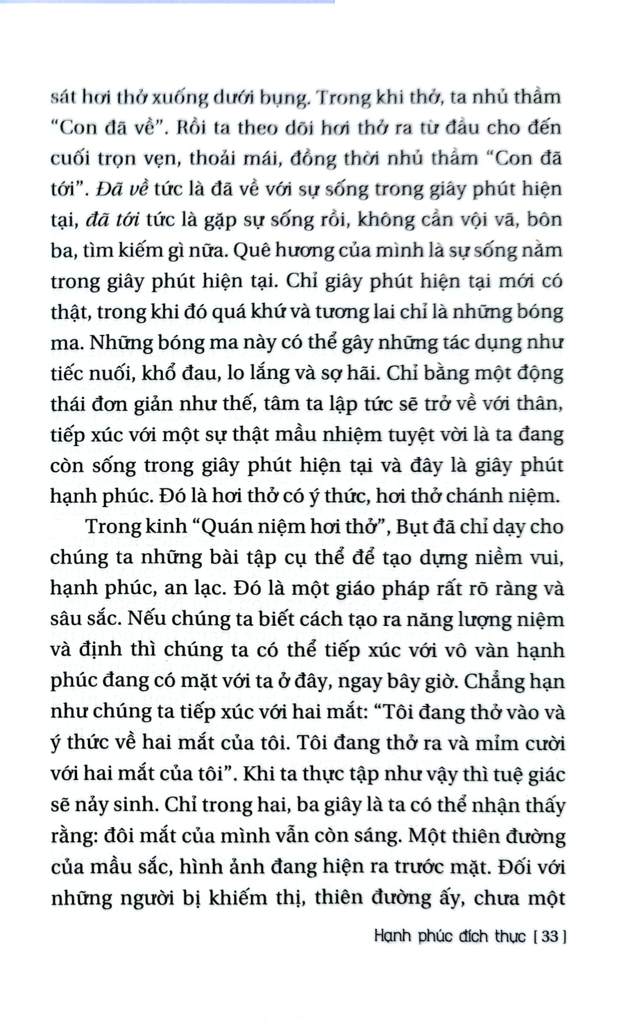 Hạnh Phúc Đích Thực - Hoàng Anh Sướng
