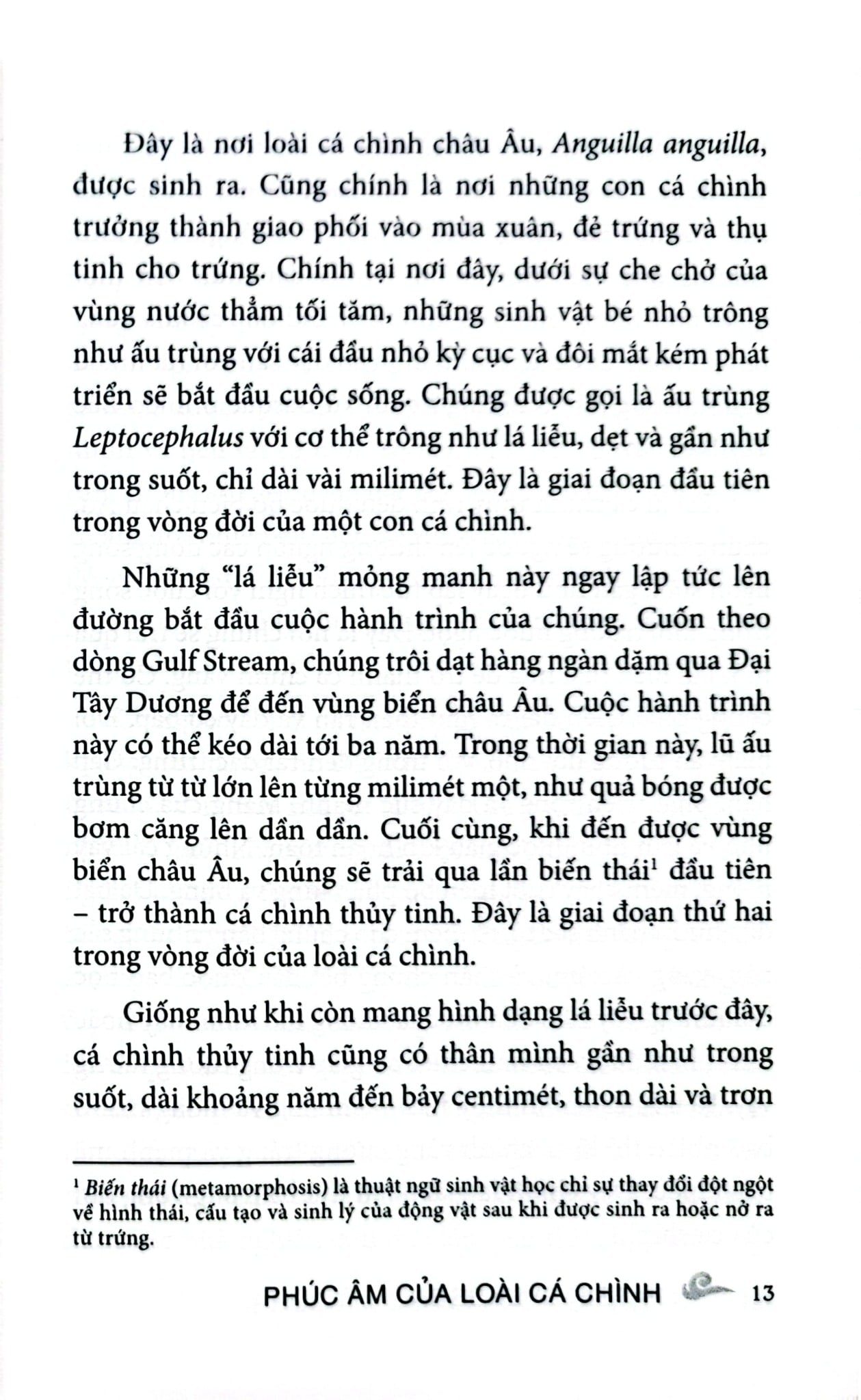 Phúc Âm Của Loài Cá Chình - Patrik Svensson