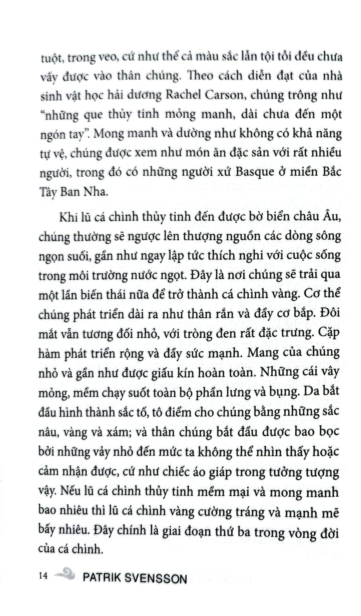 Phúc Âm Của Loài Cá Chình - Patrik Svensson