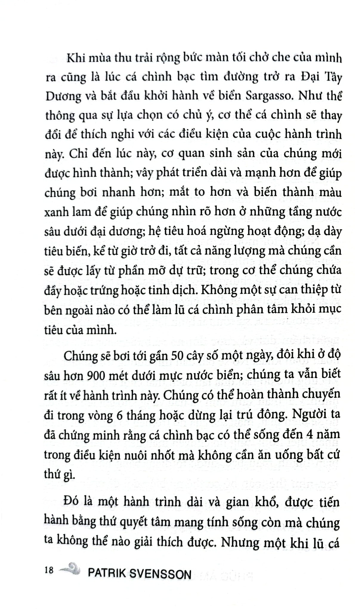 Phúc Âm Của Loài Cá Chình - Patrik Svensson