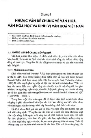  Giáo Trình Cơ Sở Văn Hóa Việt Nam  - Dương Tuấn Anh 