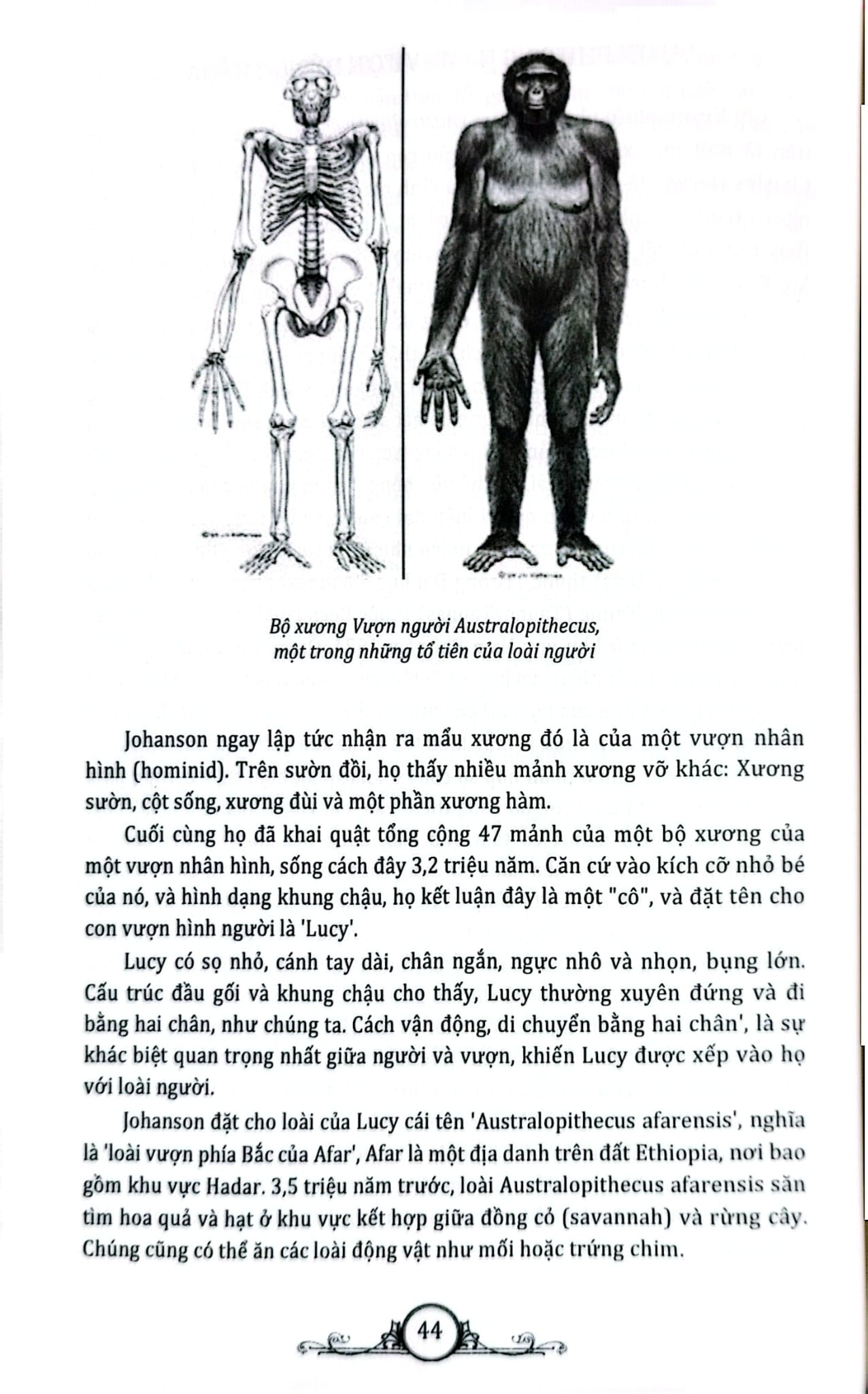 Lịch Sử Phát Triển Nhân Loại - Đăng Trường, Lê Minh