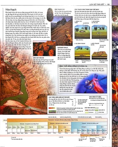  Thuyết Minh Trực Quan Nhất Về Trái Đất - Alphabooks 