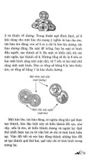 Sổ Tay Kinh Dịch - Gary G Melyan