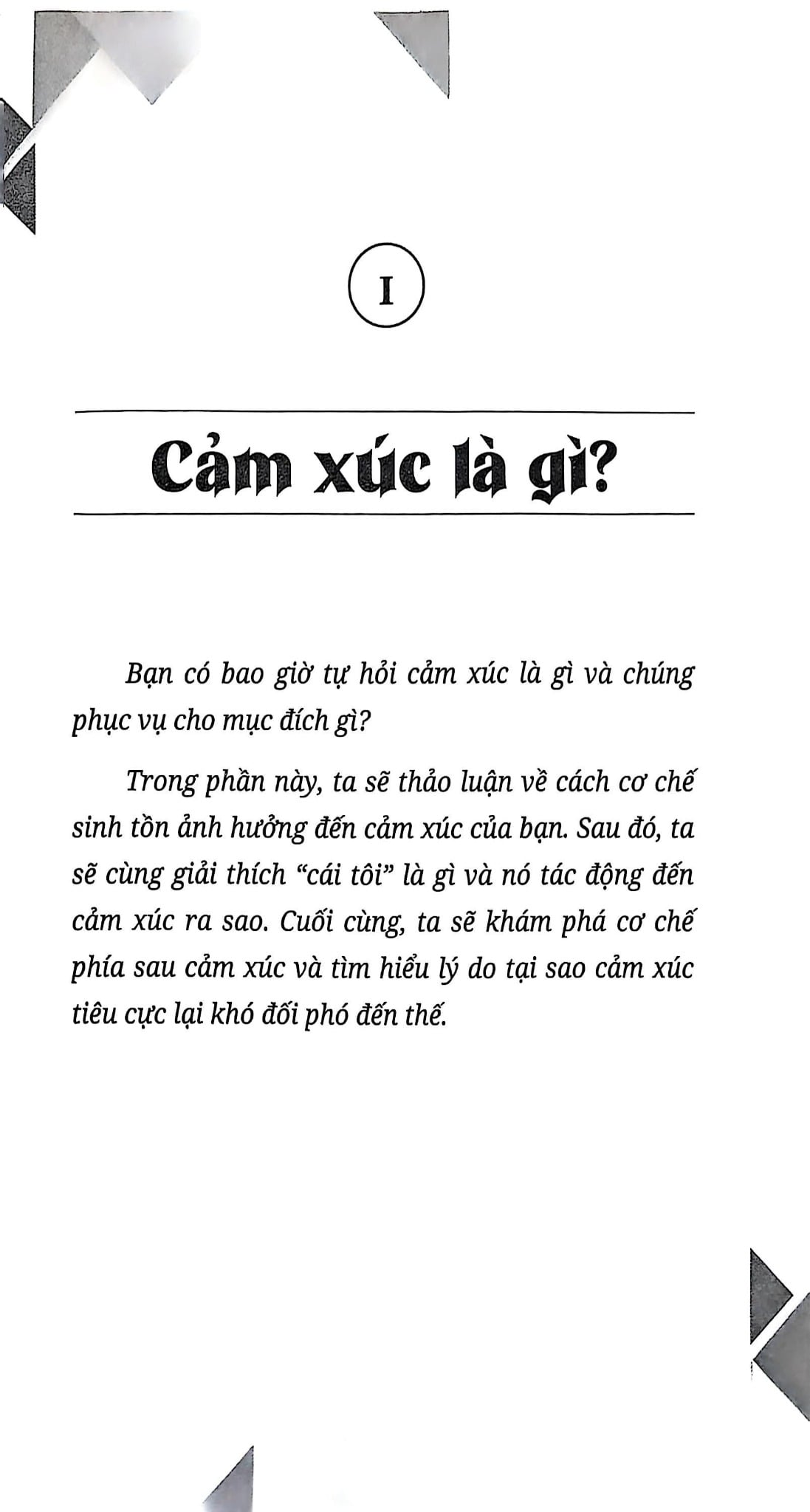 Làm Chủ Cảm Xúc Hạnh Phúc Trong Tay - Thibaut Meurisse