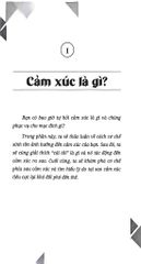 Làm Chủ Cảm Xúc Hạnh Phúc Trong Tay - Thibaut Meurisse
