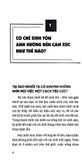  Làm Chủ Cảm Xúc Hạnh Phúc Trong Tay - Thibaut Meurisse 