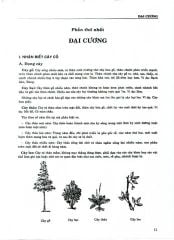 Combo 2 Quyển Từ Điển Cây Thuốc Việt Nam (Tập 1 + 2) - GS. Võ Văn Chi