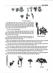 Combo 2 Quyển Từ Điển Cây Thuốc Việt Nam (Tập 1 + 2) - GS. Võ Văn Chi