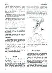 Combo 2 Quyển Từ Điển Cây Thuốc Việt Nam (Tập 1 + 2) - GS. Võ Văn Chi