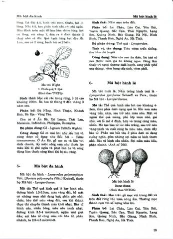 Combo 2 Quyển Từ Điển Cây Thuốc Việt Nam (Tập 1 + 2) - GS. Võ Văn Chi