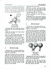 Combo 2 Quyển Từ Điển Cây Thuốc Việt Nam (Tập 1 + 2) - GS. Võ Văn Chi