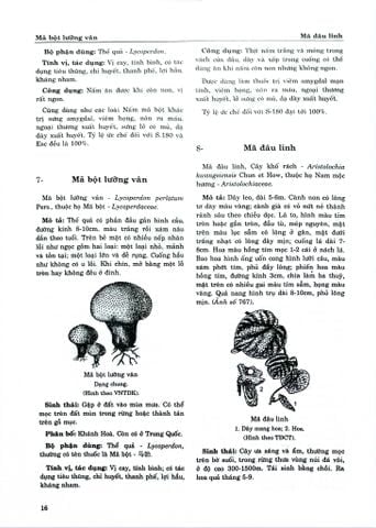 Combo 2 Quyển Từ Điển Cây Thuốc Việt Nam (Tập 1 + 2) - GS. Võ Văn Chi
