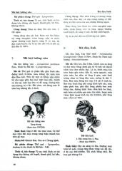 Combo 2 Quyển Từ Điển Cây Thuốc Việt Nam (Tập 1 + 2) - GS. Võ Văn Chi