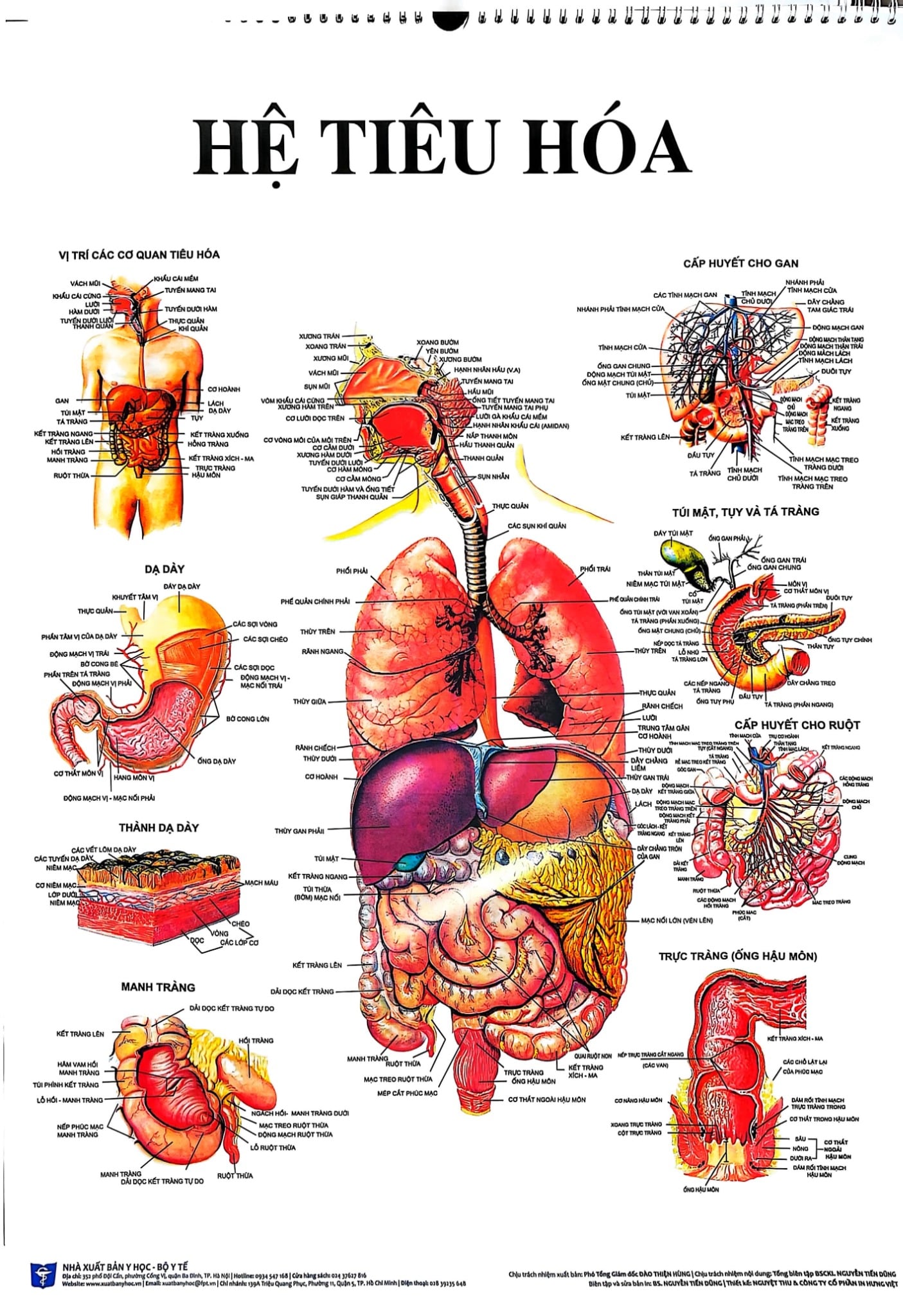 Tranh Giải Phẫu (13 Tờ) - GS. Nguyễn Quang Quyền (khoen lò xo treo tường) (Khổ 50x70 cm)