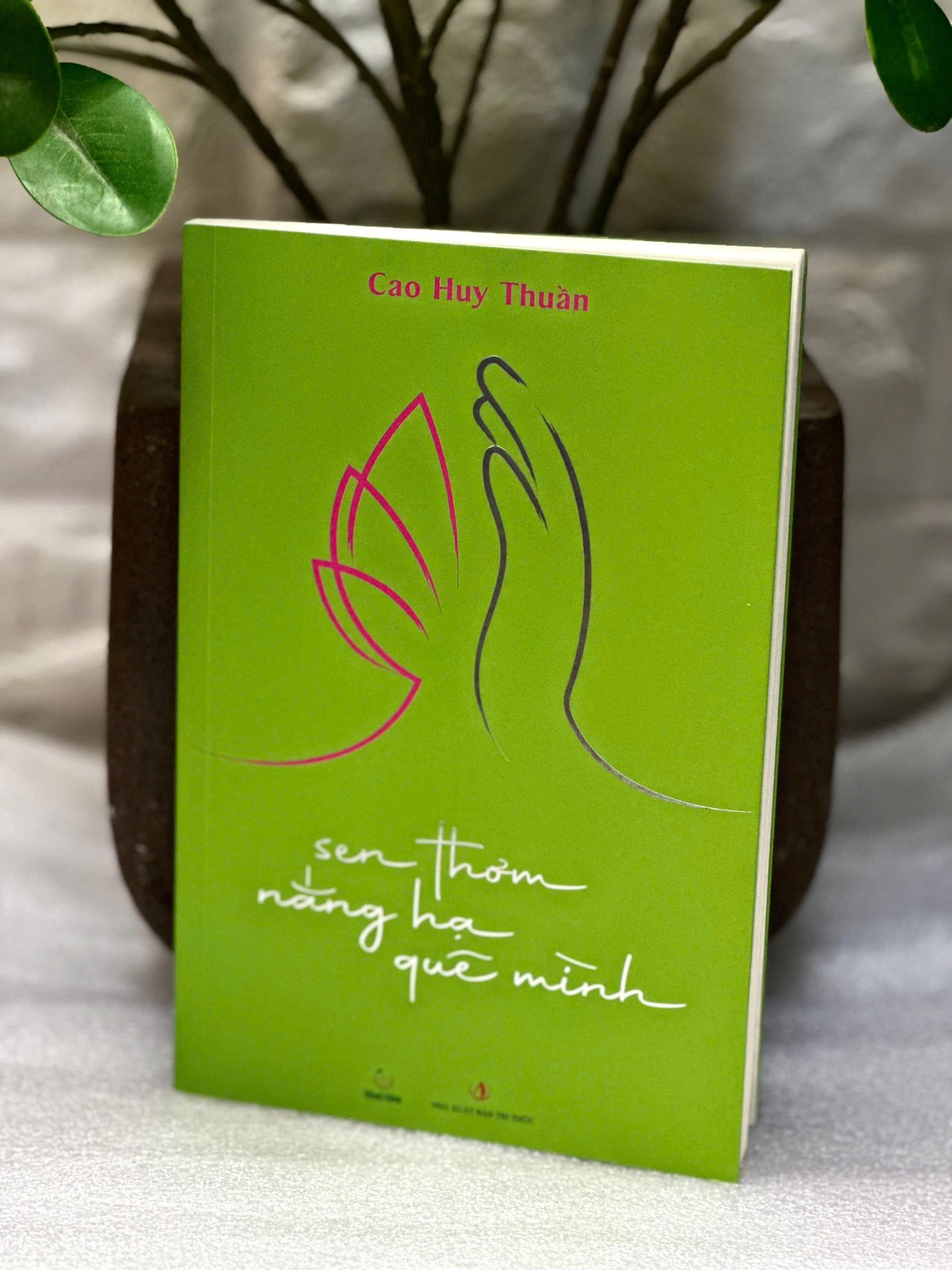 Sen Thơm Nắng Hạ Quê Mình - Bìa Mềm - Cao Huy Thuần