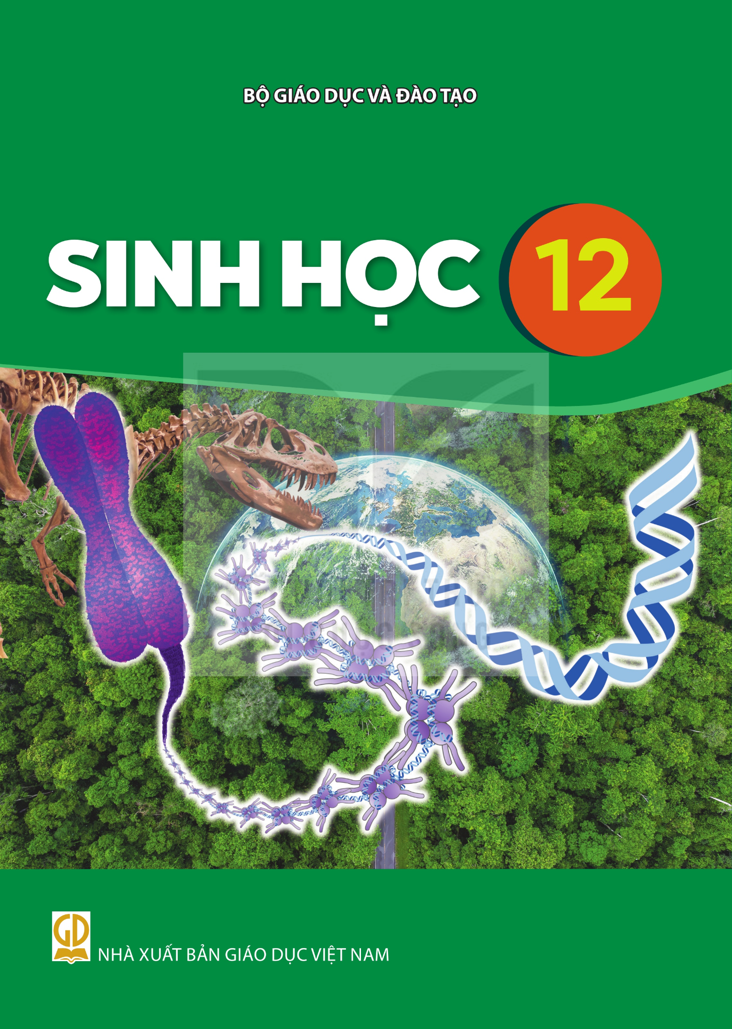 Sách Giáo Khoa Và Bài Tập Lớp 12 - Năm 2026-2027 - Kết Nối Tri Thức Với Cuộc Sống - NXBGD