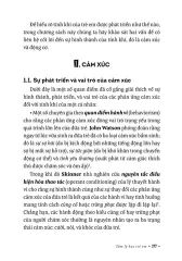 Combo 2 Quyển ( Hướng Dẫn Chẩn Đoán Tâm Lý Tâm Thần Theo DSM-5 + Tâm Lý Học Trẻ Em ) - TS Phạm Toàn