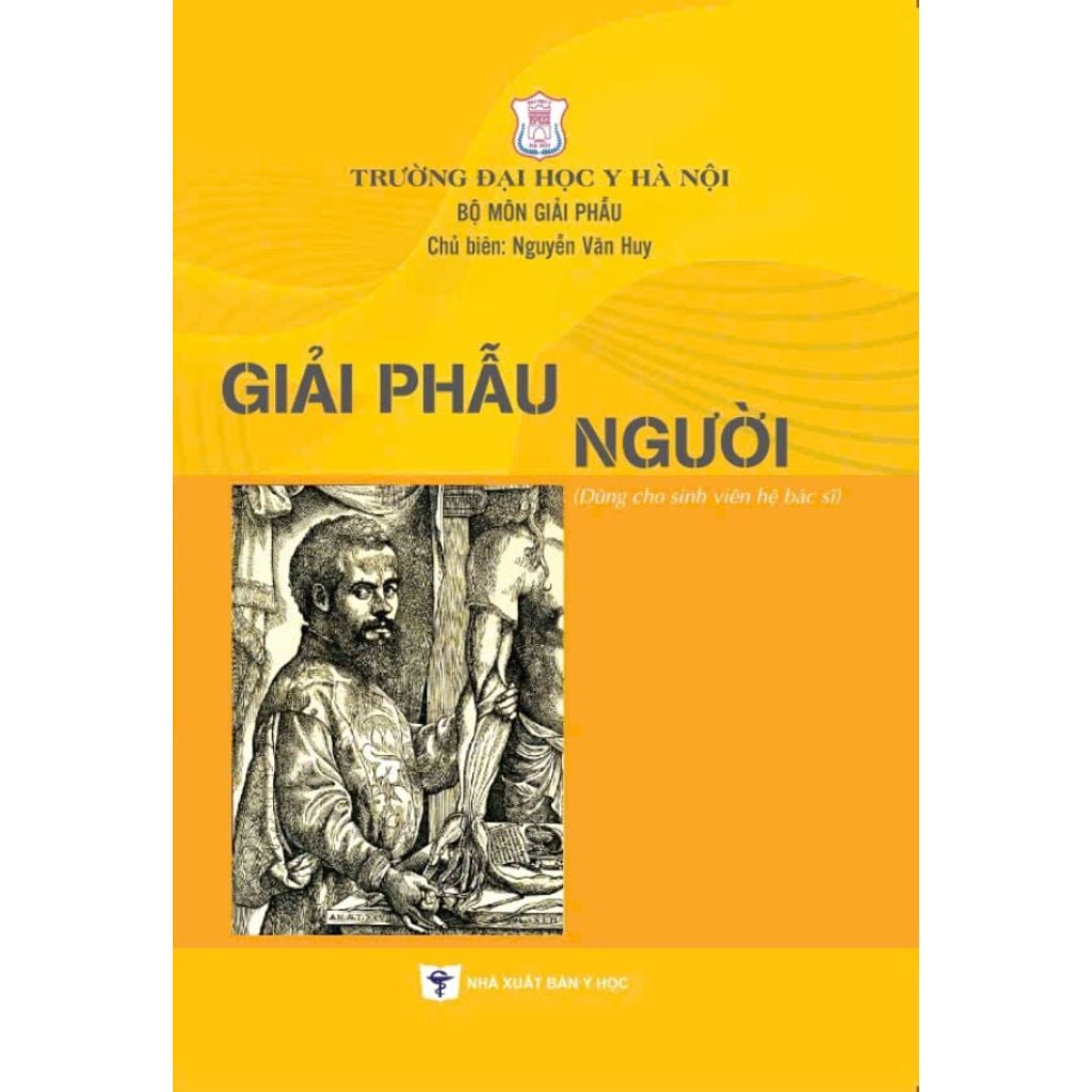 Giải Phẩu Người - Nguyễn Văn Huy (CB) - ĐH Y Hà Nội - Bộ Môn Giải Phẫu