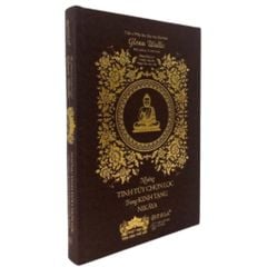 Những Tinh Túy Chọn Lọc Trong Kinh Tạng Nikāya - Bản Đặc Biệt Bìa Da - Glenn Wallis